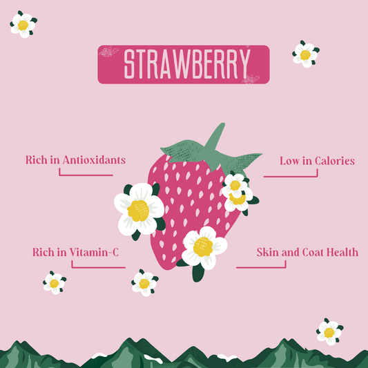 Yak9 Strawberry Yak Milk Chews for Dogs - Yak9 Chews