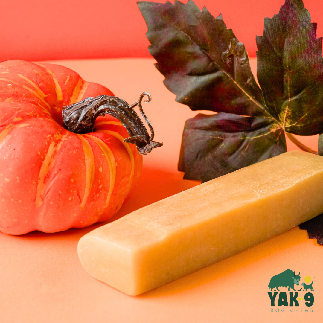 Yak9 - Pumpkin Cheese Chews for Dogs