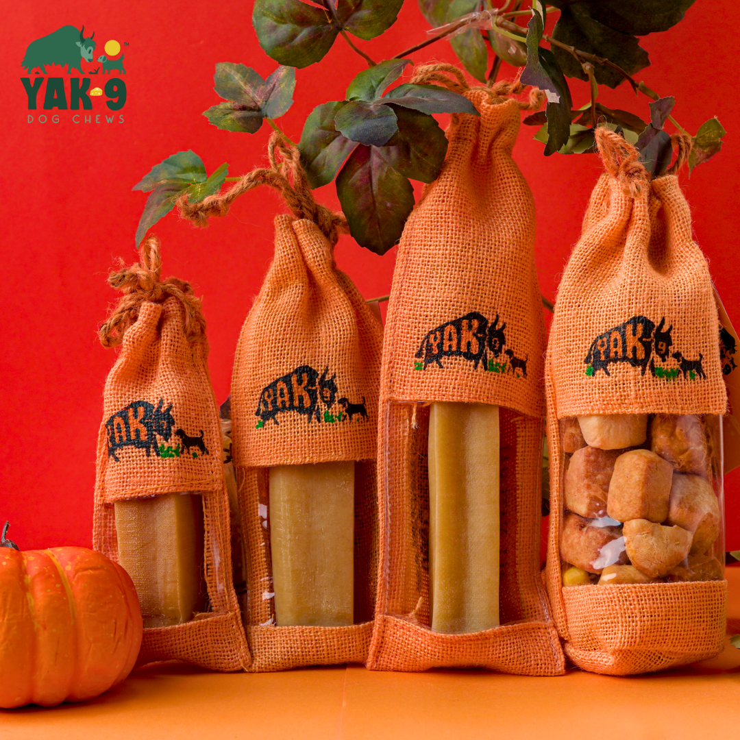Yak9 - Pumpkin Cheese Chews for Dogs