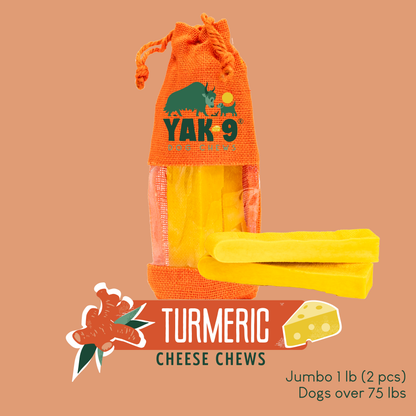 YAK9 Chews - Turmeric Cheese Chews for Dogs