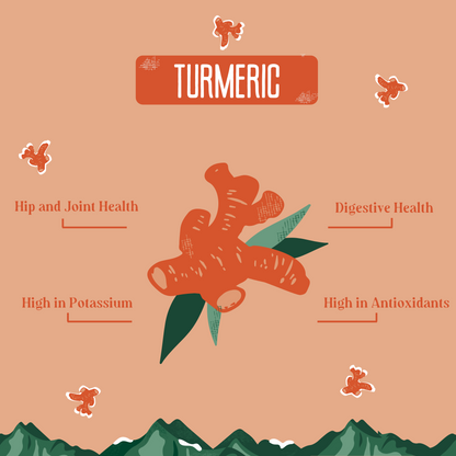 YAK9 Chews - Turmeric Cheese Chews for Dogs