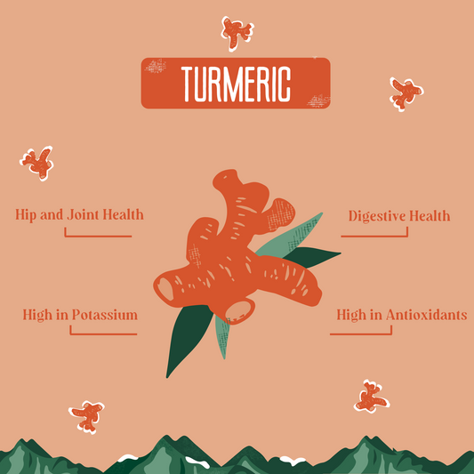 Yak9 Turmeric Milk Chews for Dogs - Yak9 Chews