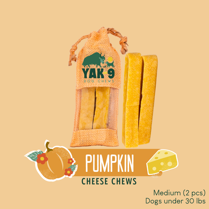 YAK9 Chews - Pumpkin Cheese Chews for Dogs