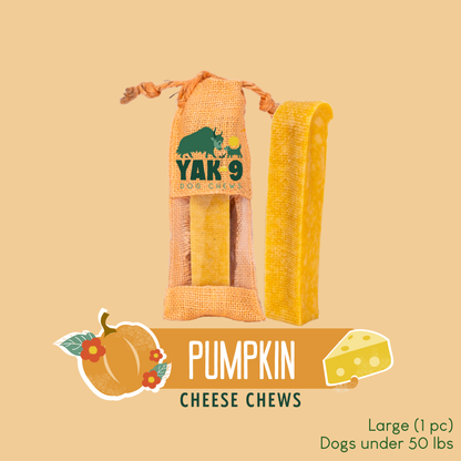 YAK9 Chews - Pumpkin Cheese Chews for Dogs
