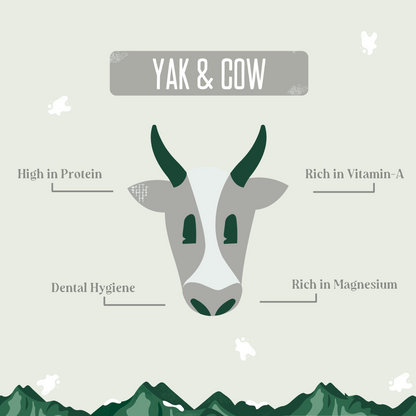 YAK9 Chews - Yak and Cow Cheese Chews for Dogs