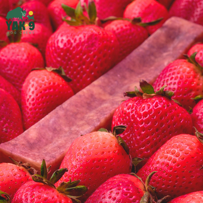 YAK9 Chews - Strawberry Cheese Chews for Dogs
