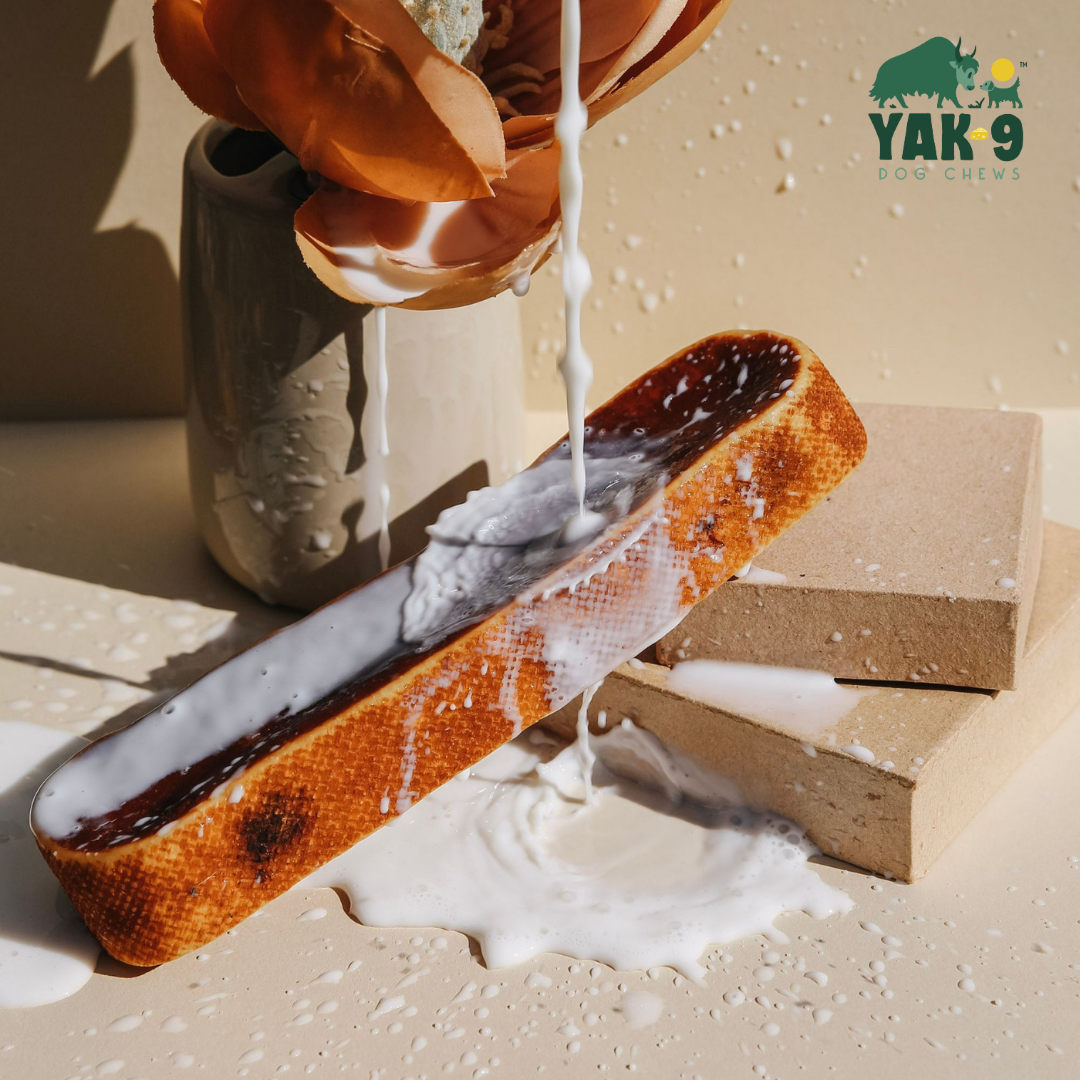Yak9 - 100% Yak Milk Chews for Dogs