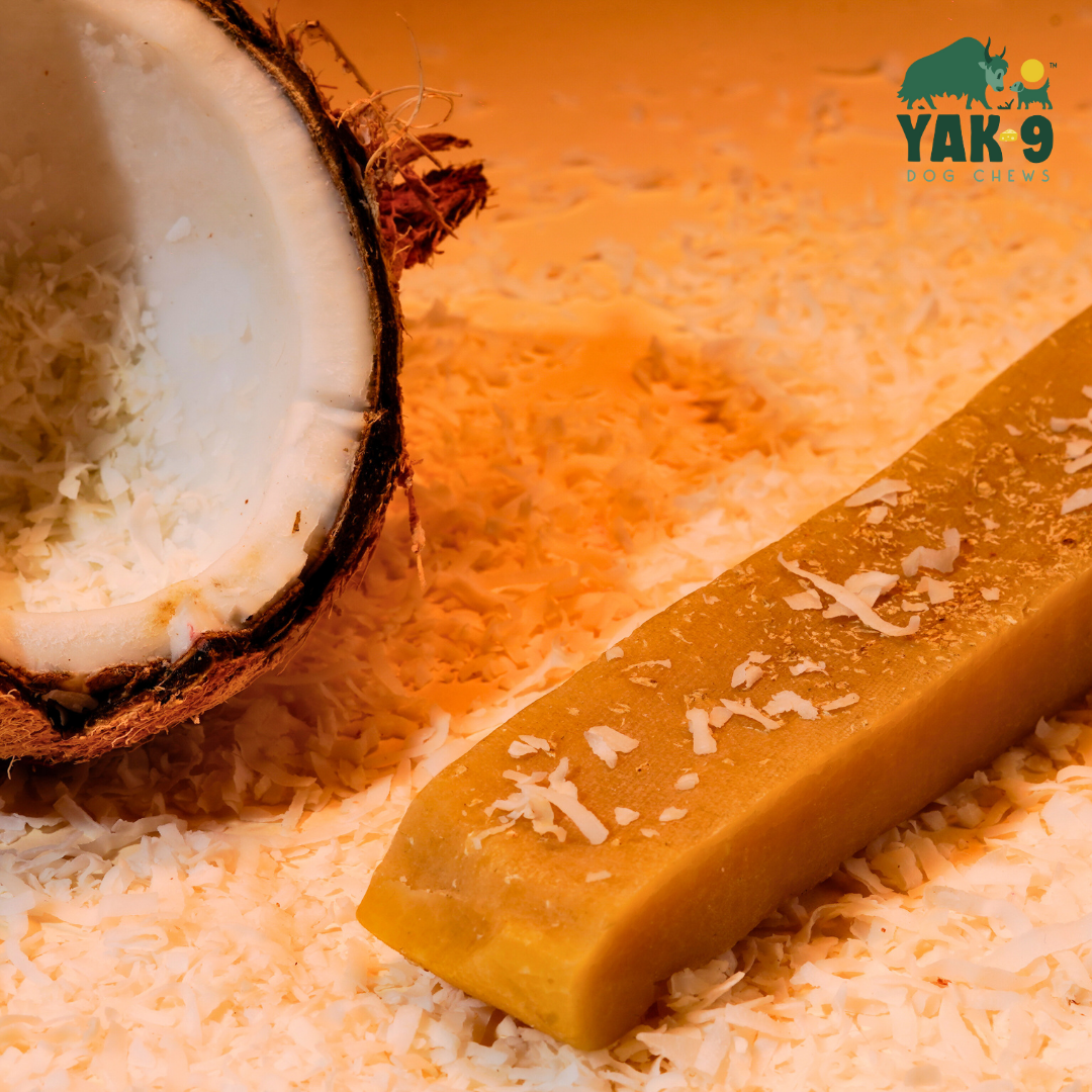 YAK9 Chews - Coconut Cheese Chews for Dogs