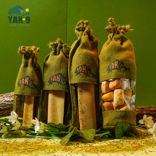 Yak9 - Flaxseed & Mint Cheese Chews for Dogs