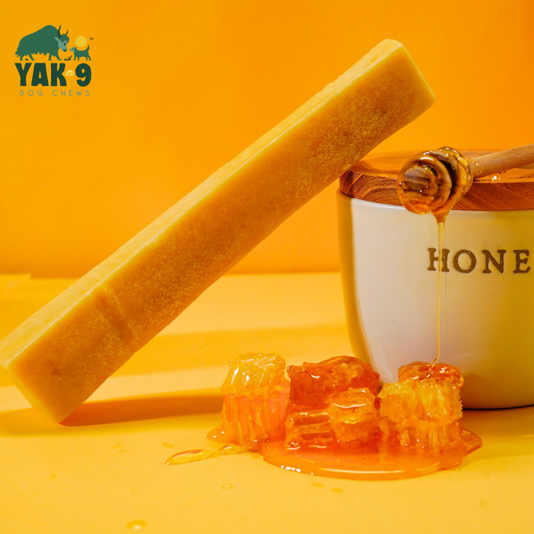 YAK9 Chews - Honey Cheese Chews for Dogs