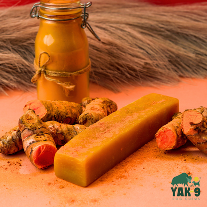 YAK9 Chews - Turmeric Cheese Chews for Dogs
