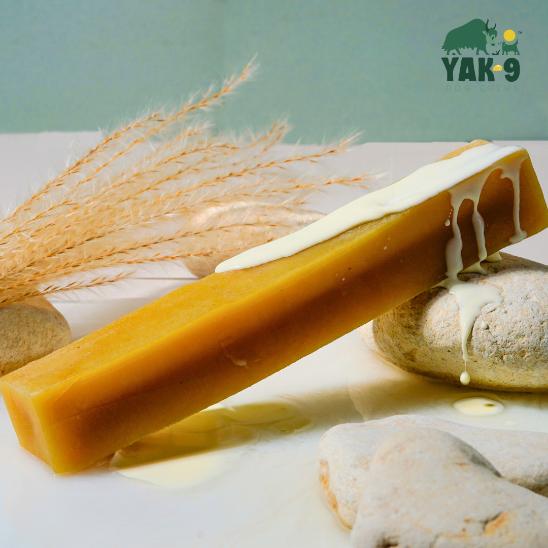 YAK9 Chews - Yak and Cow Cheese Chews for Dogs