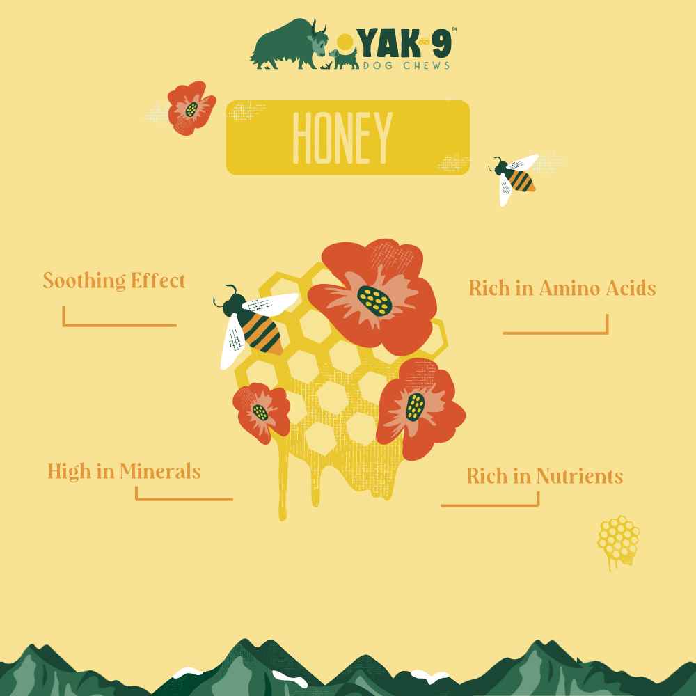 YAK9 Chews - Honey Cheese Chews for Dogs