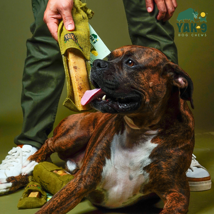 YAK9 Chews - Flaxseed & Mint Cheese Chews for Dogs