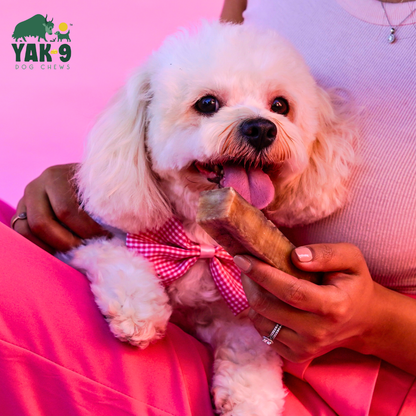 YAK9 Chews - Strawberry Cheese Chews for Dogs