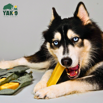 YAK9 Chews - Yak and Cow Cheese Chews for Dogs