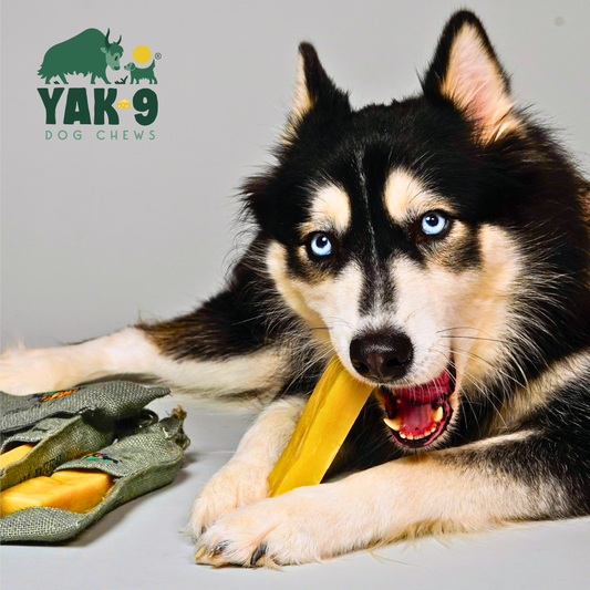Multipack - Single Flavored Original Yak Cheese Chews