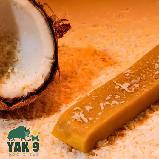 Multipack - Single Flavored Coconut Yak Cheese Chews