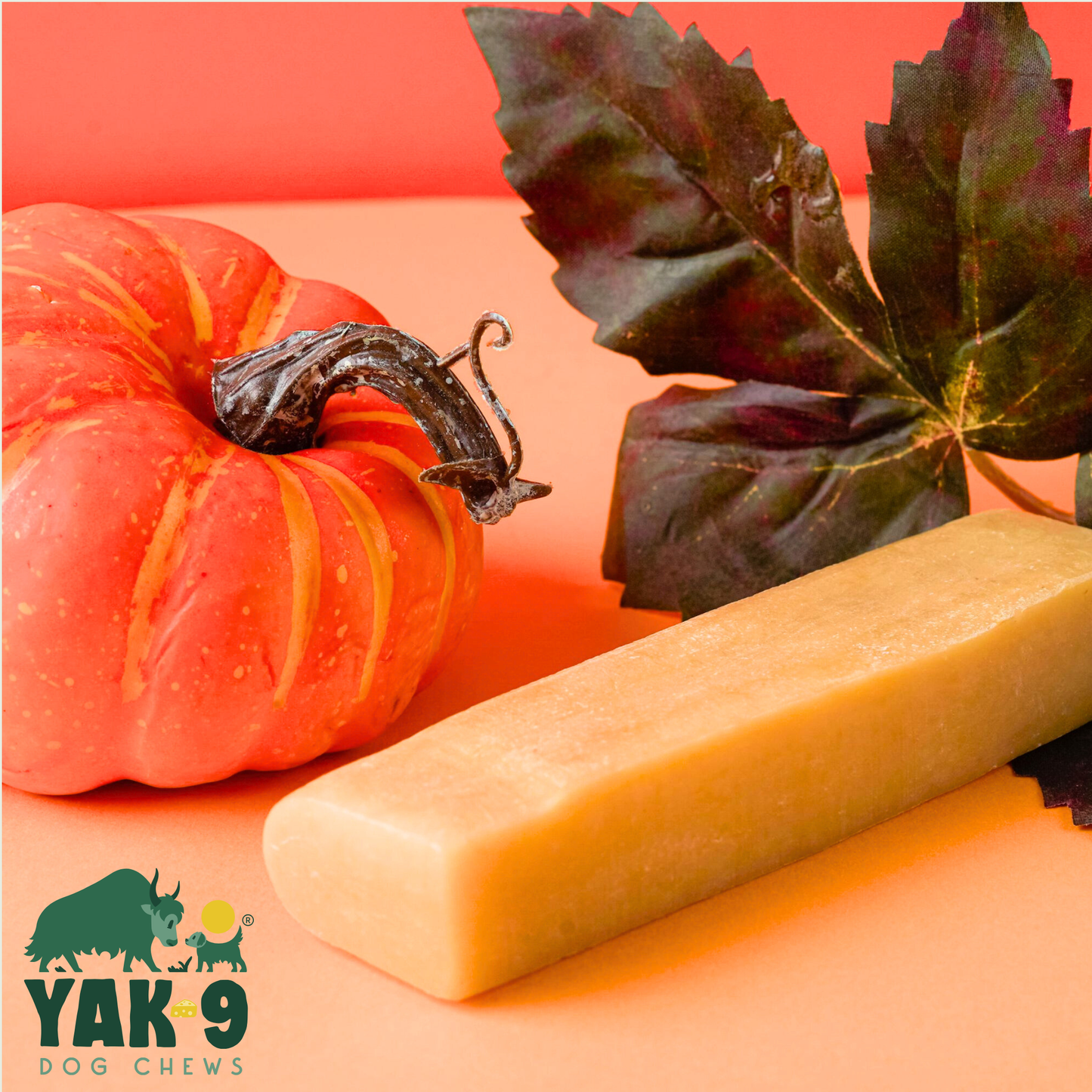 Multipack - Single Flavored Pumpkin Yak Cheese Chews