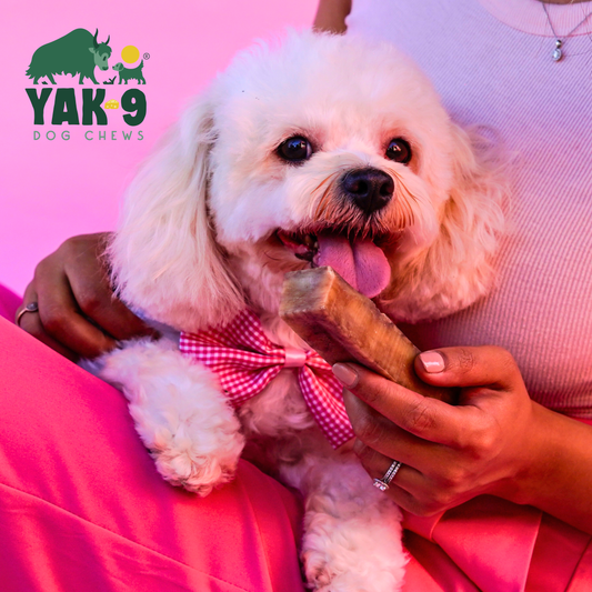 Multipack - Single Flavored Strawberry Yak Cheese Chews